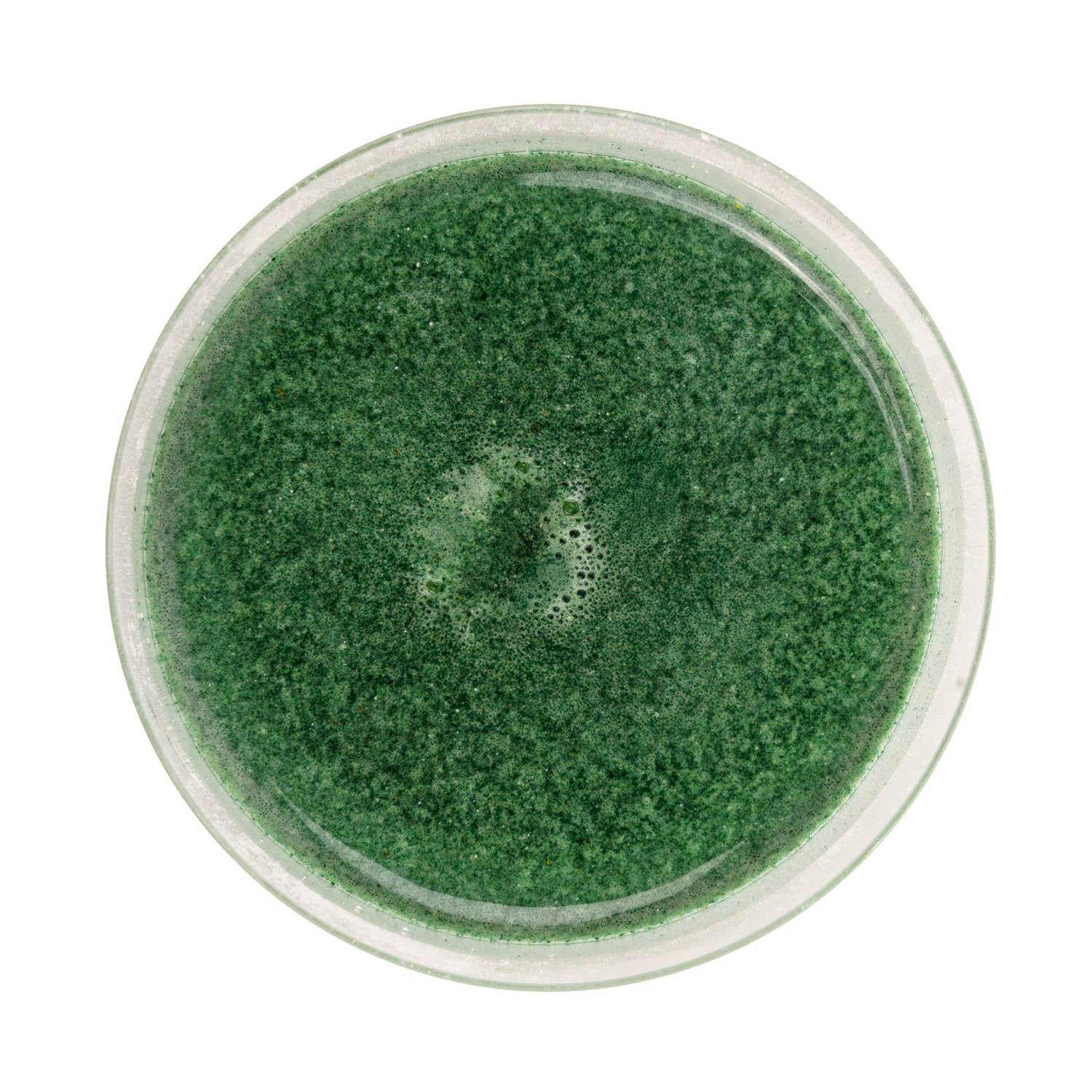 The Green Powder - 30 doses - 300g